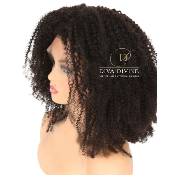 Indian Lace Wig (Organic Curl)