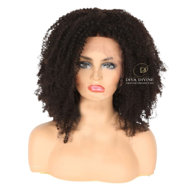 Indian Lace Wig (Organic Curl)